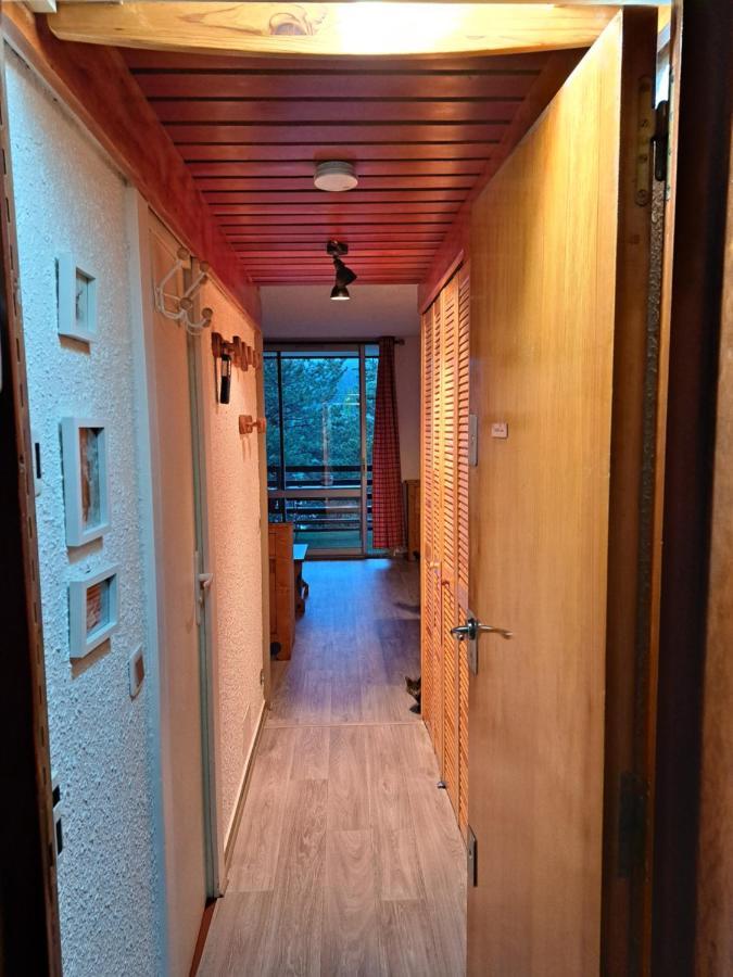Appartement Montagnard Serre-Chevalier. Saint-Chaffrey Eksteriør billede
